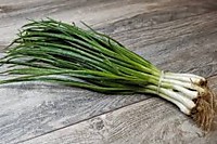 Лук зелёный (пучок 50г.)