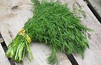 Укроп (пучок 50г.)