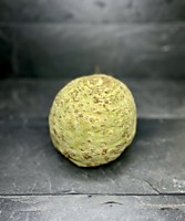 Сельдерей корень ~1кг. 1шт.~