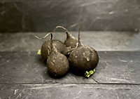 РЕДЬКА черная ~250г. 1шт.~