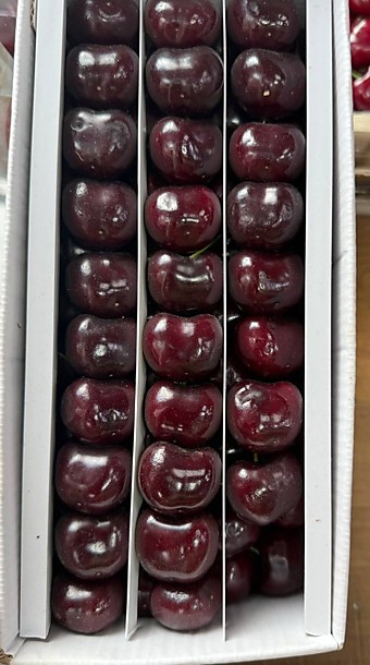 ЧЕРЕШНЯ Узб Самолет  СП 