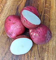 КАРТОФЕЛЬ КРАСНЫЙ 1кг.